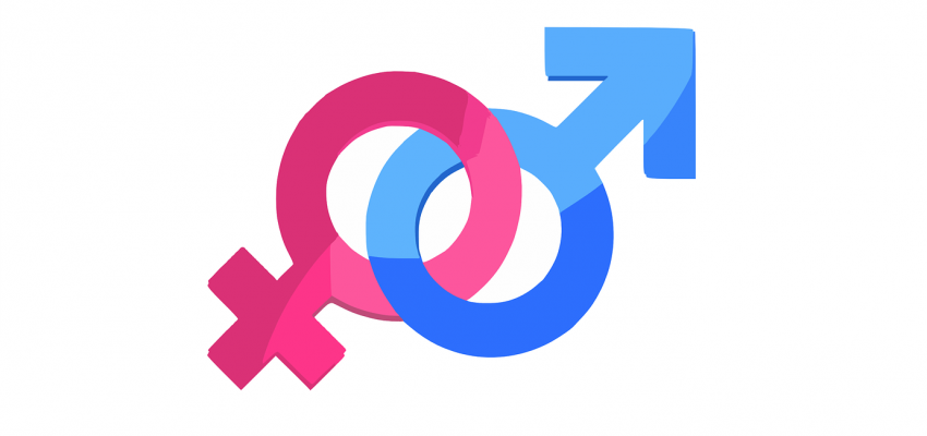 Waarom ook de vele genders in inheemse culturen uiteindelijk toch een uiting zijn van een binair gendersysteem